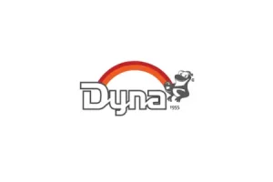 AnyConv.com__Dyna